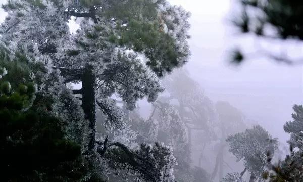 2024中国·沈阳冰嬉节启幕