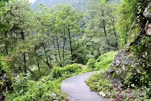 阿朵赵昭仪齐聚星月榜样盛典 陈数刘佩琦荣获大奖树立榜样