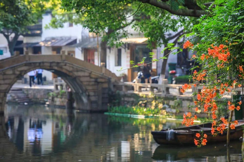 拯救精灵的土地9